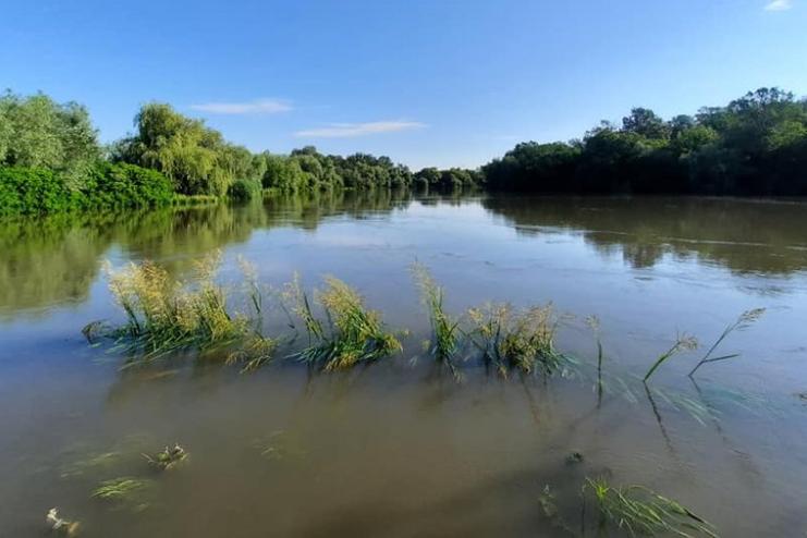 Через підвищення рівня води у Дністрі трасу Одеса-Рені може затопити