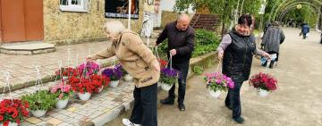 У Тарутиному проспект Миру прикрасили різнокольоровими петуніями