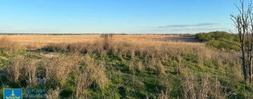  На Одещині повернули державі землі лісового фонду вартістю сім мільярдів гривень