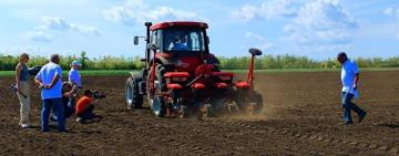 Одещині засіяли перші експериментальні поля бавовнику