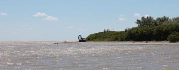 У Дунаї виявили токсичні забруднювачі