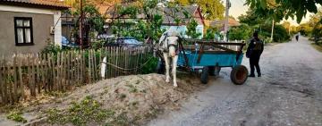 Вкрав коня знайомого, аби помститися: неодноразово судимому жителю Одещини повідомили про підозру у грабежі