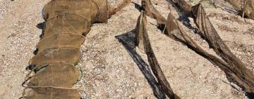 На «Тузлівських лиманах» попередили завдання державі більш ніж 12 мільйонів гривень збитків, припинивши незаконний вилов риби