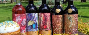 У Бородінській громаді міжнародна компанія виготовлятиме унікальне вино і вже почала розвивати виноградарство та виноробство