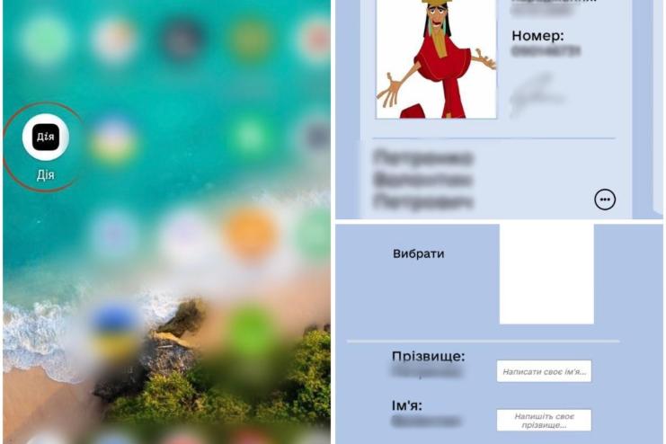 Підліток з Одещини продавав в інтернеті підроблену «Дію»