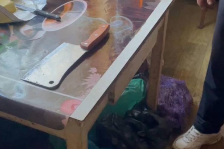 На Одещині п’яний дебошир бігав за дітьми з тесаком