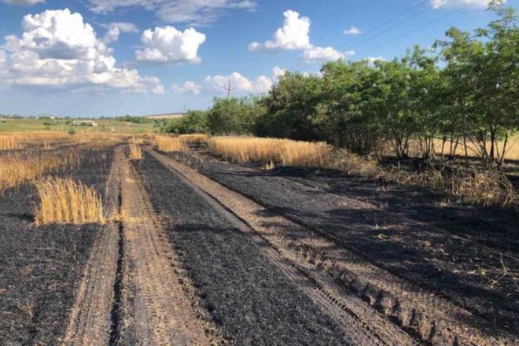 В Болградському районі горіло поле з пшеницею