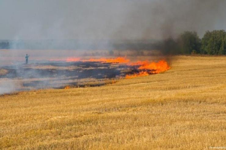 На Одещині знову горіло поле з пшеницею