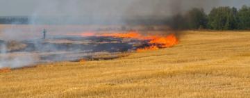 На Одещині знову горіло поле з пшеницею