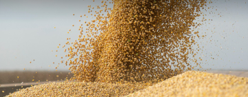 На Одещині компанія відшкодувала понад 11 млн грн несплачених податків – БЕБ