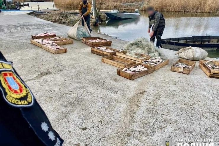 Поліцейські відправили на лаву підсудних двох браконьєрів, які завдали державі збитків на 1,5 мільйони гривень
