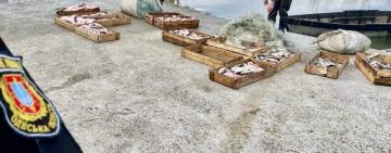 Поліцейські відправили на лаву підсудних двох браконьєрів, які завдали державі збитків на 1,5 мільйони гривень