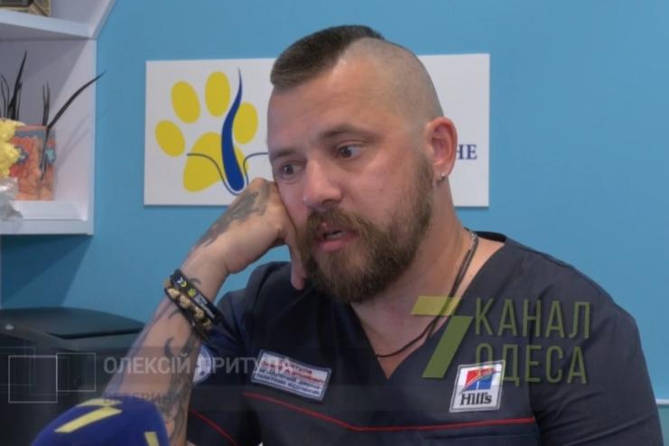 Не стрижіть котів та собак - це не допомагає їм від спеки, - ветеринар