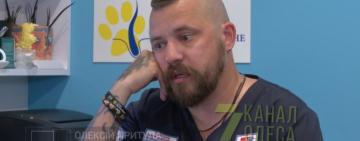 Не стрижіть котів та собак - це не допомагає їм від спеки, - ветеринар