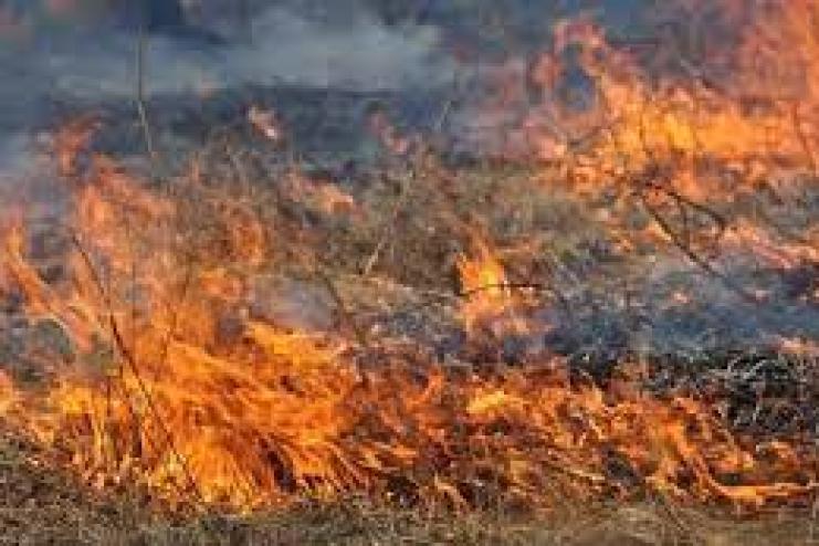 На Одещині під час гасіння сухої трави знайдено тіло старенької жінки 