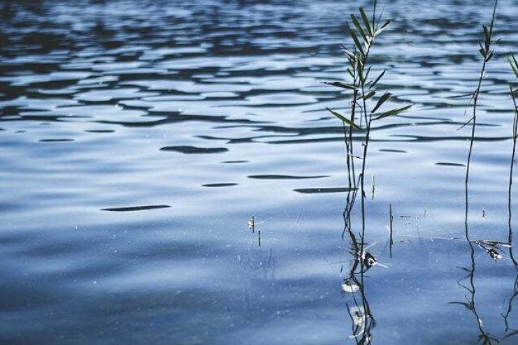 Черговий нещасний випадок на водоймі: на Одещині під час купання зник чоловік