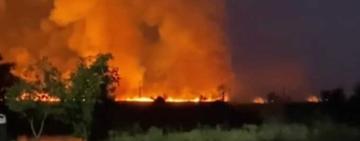 Масштабна пожежа на озерах в Одеській області: очерет продовжує горіти декілька діб