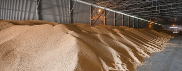 Компанія-експортер на Одещині відшкодувала 44,3 млн грн несплачених податків: розслідування БЕБ завершено