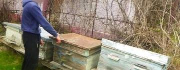 Поліцейські скерували до суду обвинувальний акт щодо групи підлітків, які обікрали обійстя трьох односельчан в Подільському районі