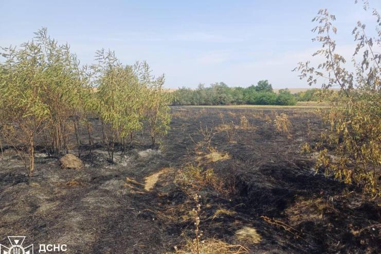 НА ОДЕЩИНІ ЖІНКА ВИРІШИЛА СПАЛИТИ ЗАЛИШКИ СУХОЇ РОСЛИННОСТІ, А ВОГОНЬ ЗНИЩІВ 700 КВ М ЗЕМЛІ