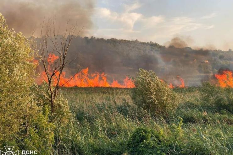 За минулий тиждень на території Одеської області виникло 275 пожеж сухої рослинності на відкритих територіях,- ДСНС