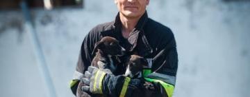 У Рені врятували двох пухнастиків із триметрової пастки