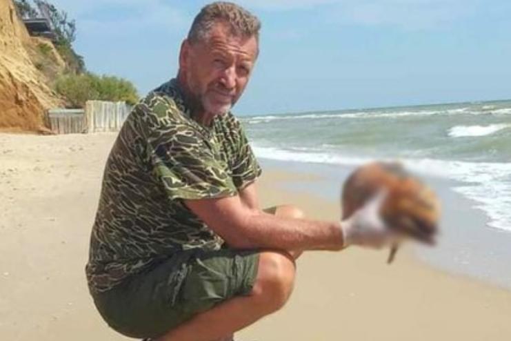 На узбережжя Національного природного парку "Тузлівські лимани" на Одещині винесло мертвого дитинча дельфіна 