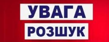 На Одещині вже другу добу розшукують неповнолітню Олену Пелін