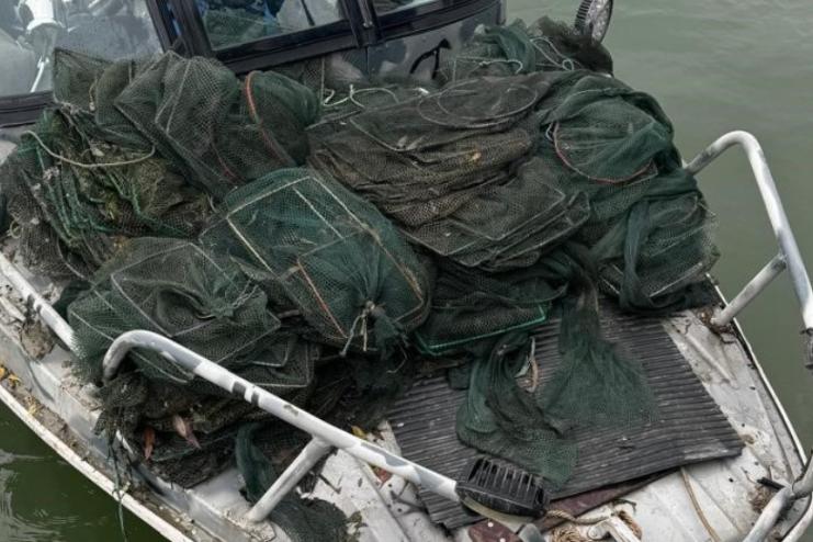 У річці Дунай виявлено браконьєрські знаряддя лову – 41 раколовний ятер