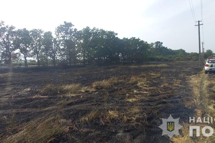 До п’яти років позбавлення волі загрожує паліям з Тарутинської і Бородинської громад