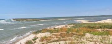 Чорне море відродило життя тузлівських лиманів, особливо морських видів риб