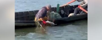 Інспектори з охорони природи врятували севрюгу, занесену до Червоної книги України, в Ізмаїльському районі