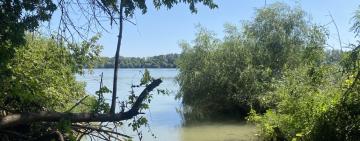 Вода в головних річках та озерах Одеської області може бути небезпечною