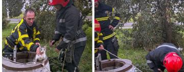На Одещині рятувальники витягли кота та собаку з шестиметрового колодязя