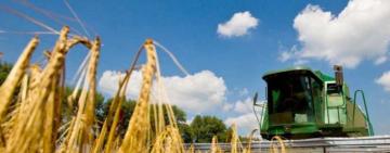 На Одещині зібрали на 100% більше ранніх зернових