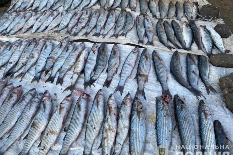На Одещині затримано рибалку-браконьєра: правоохоронці вилучили незаконний улов кефалі