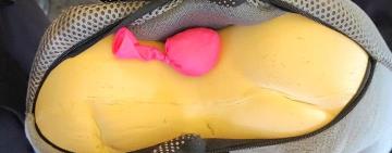 Прикордонники на Одещині виявили контрабанду наркотиків у подушці для подорожей та тубусах