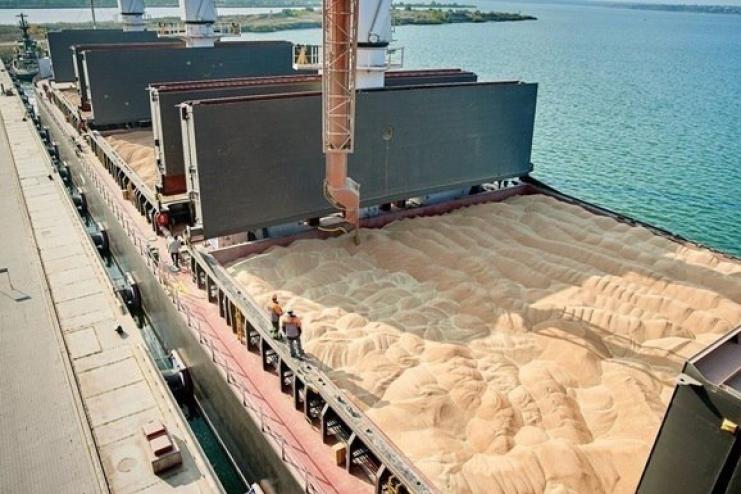 Україна експортувала 11,7 млн тонн зерна з початку нового маркетингового року