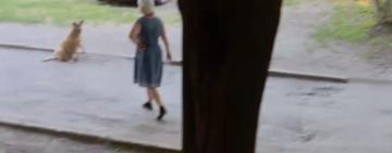 В Арцизі психічно хвора жінка напала на школярку