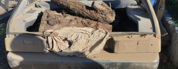 Українця оштрафовано за незаконне перевезення дров