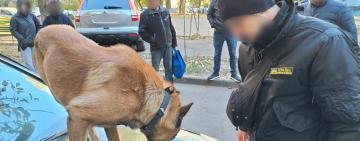 Одеський наркобізнес на мільйони: онук і дід організували контрабанду з Канади та розгорнули мережу нарколабораторій