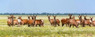 Призначеному росіянами директору заповідника 