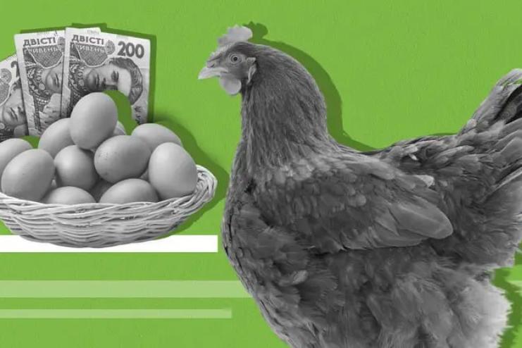 Десяток яєць може коштувати 90 грн