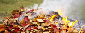 Спалення листя спричинило понад 20 пожеж в Одеській області: ДСНС закликає дотримуватися правил безпеки