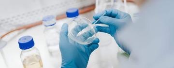 Захворюваність на грип і ГРВІ на Одещині залишається в межах норми, однак є незначне зростання випадків COVID-19