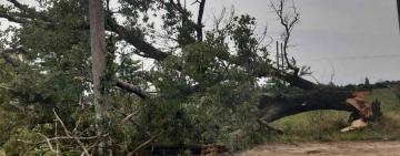 Вночі на Одещині оголошено II рівень небезпечності