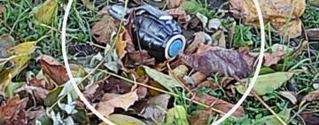 В Одесі в одному з районів перехожі виявили гранату 