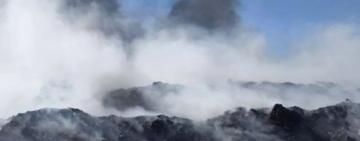 На Одещині компанія завдала довкіллю збитків на понад 11 мільйонів гривень: суд зобов’язав їх компенсувати