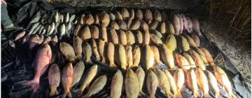 В Одеській області браконьєри завдали збитків рибним запасам на понад 450 тисяч гривень