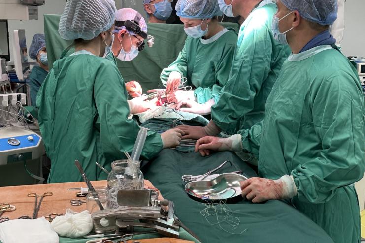 Життя після життя: історія 13-річного донора з Одещини